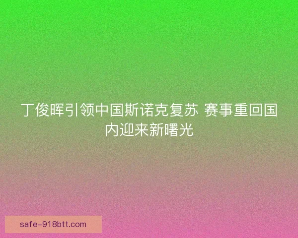 丁俊晖引领中国斯诺克复苏 赛事重回国内迎来新曙光